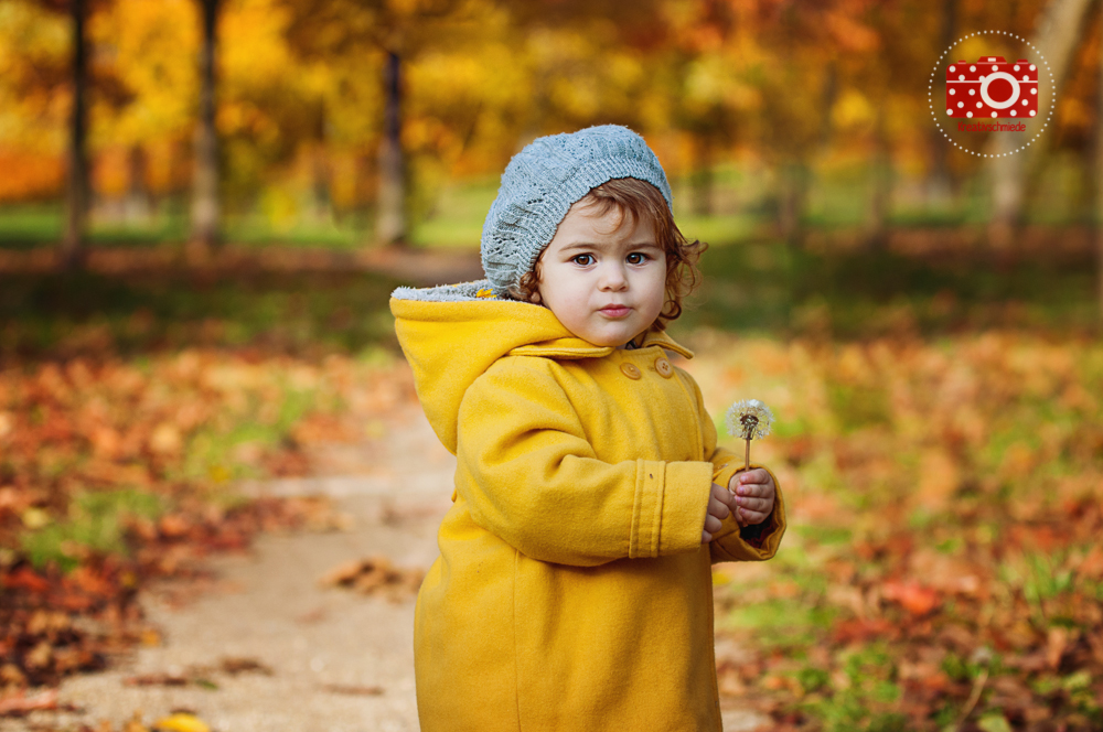Little Toddler in Autumn Light