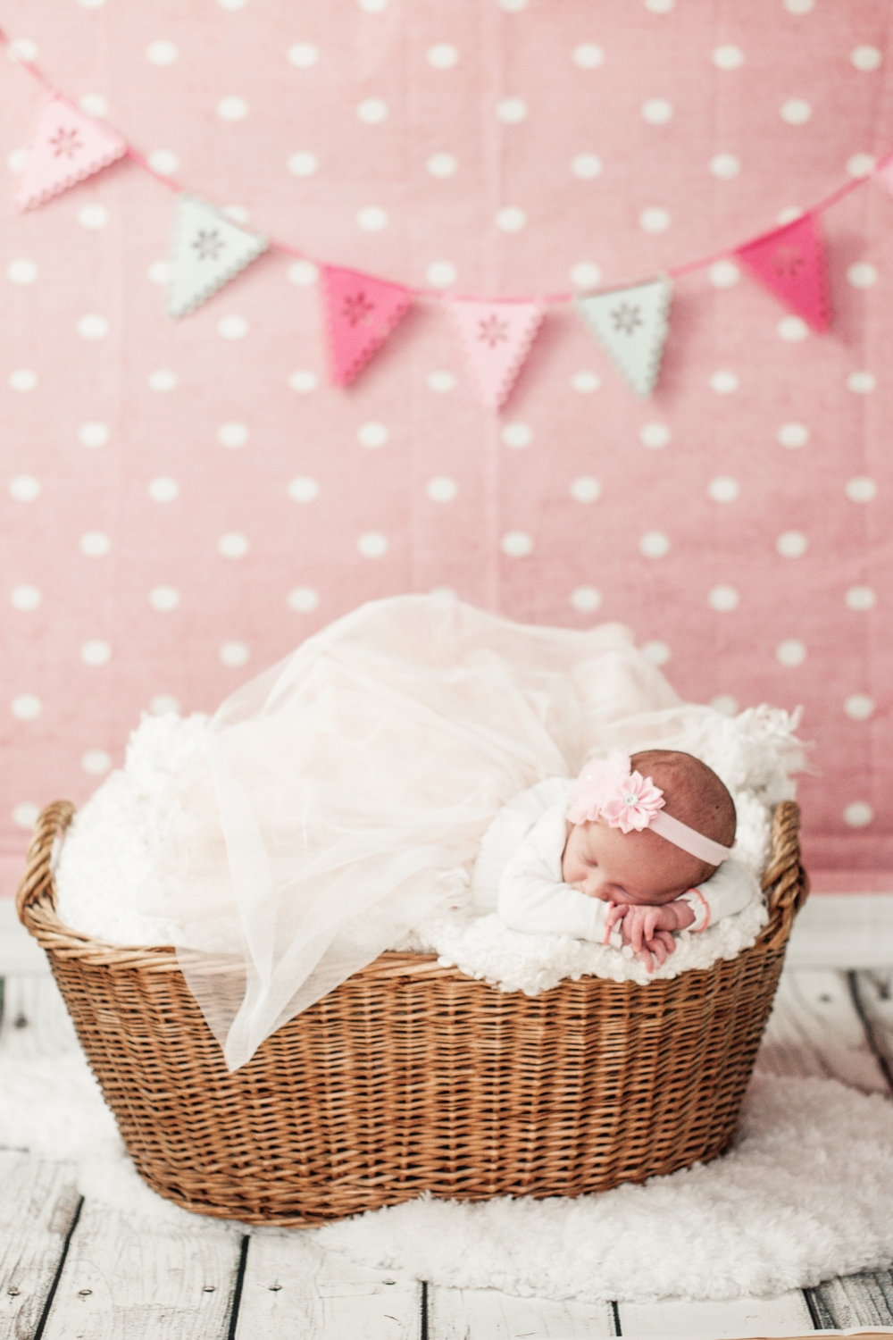 Newborn Fotoshooting Dresden Baby Neugeborene Fotos