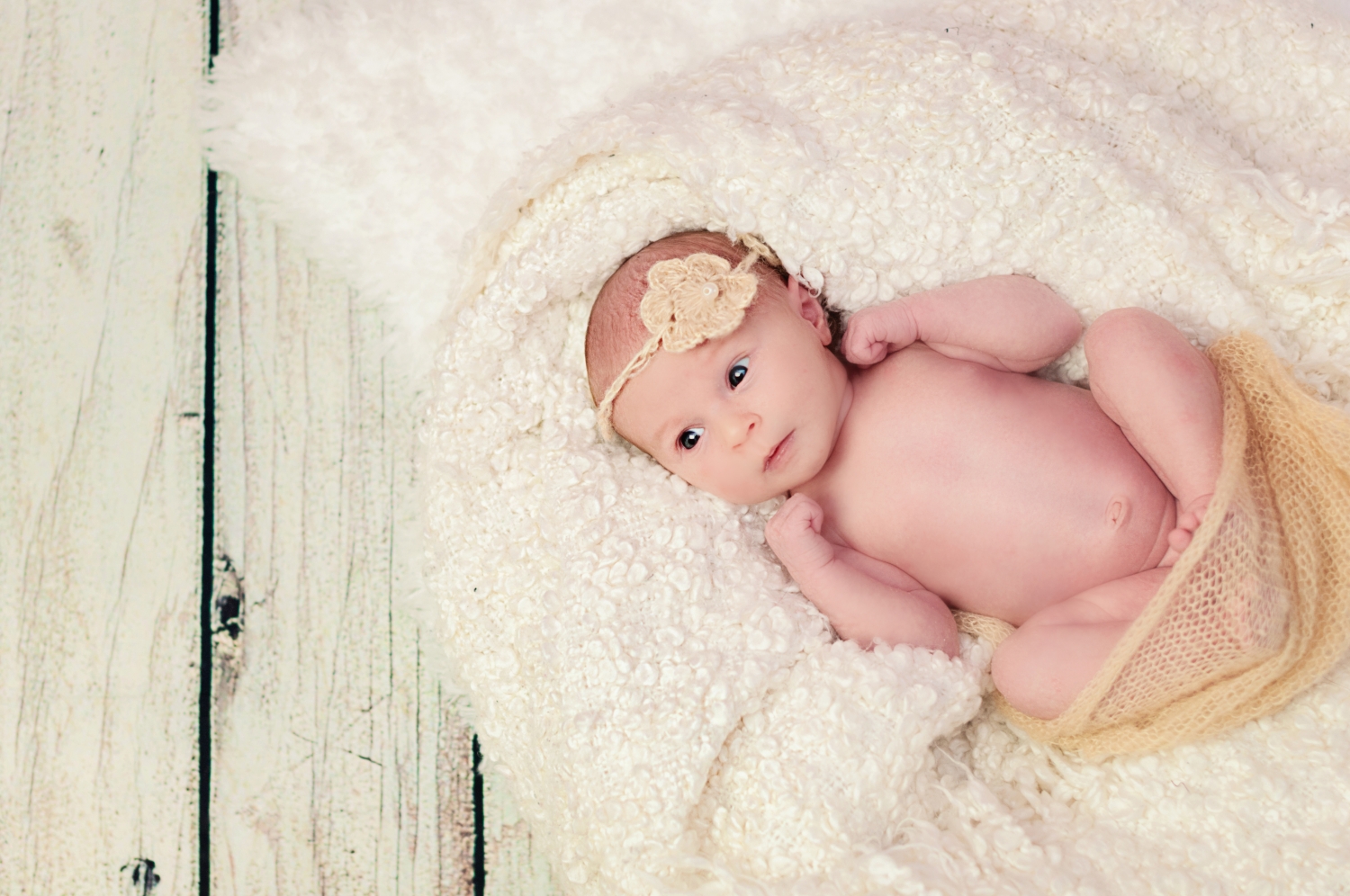 Newborn Fotoshooting Dresden Baby Neugeborene Fotos
