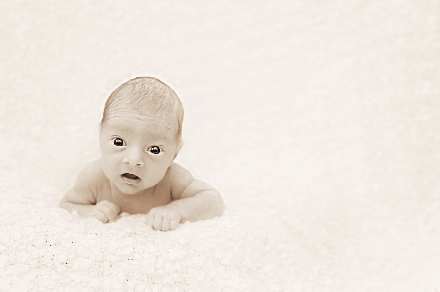 Babyshooting Fotoshooting Newborn Neugeborenenfotografie Dresden
