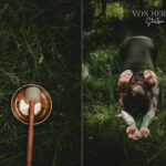 Businessfotos Yogalehrerin Dresden